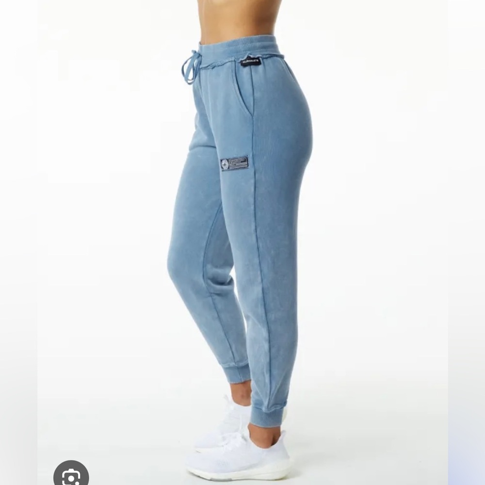 Alphalete Verry Terry Joggers in Blue Topaz